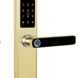 SecureEntry  Design Sicherheitsschloss IEG-4  (2058)